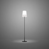 Birdie Easy Reading Lamp Black by Foscarini - View 2