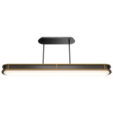 Black/Aged Brass Longboard Linear Suspension by WAC Lighting