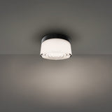 Black Plain Tuck Outdoor Wall-Ceiling Light by Modern Forms