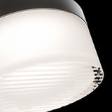 Black Ribbed Tuck Outdoor Wall-Ceiling Light by Modern Forms in Zoomed View