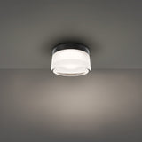 Black Ripple Tuck Outdoor Wall-Ceiling Light by Modern Forms
