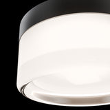 Black Ripple Tuck Outdoor Wall-Ceiling Light by Modern Forms in Zoomed View