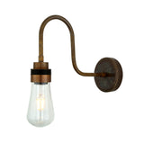 Bo Swan Neck Wall Light - Antique Brass