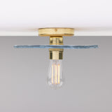 Bog Oak Ceiling Light - Polished Brass
