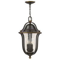 Bolla Medium Hanging Lantern - Olde Bronze - by Hinkley