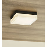 Boxie Outdoor Wall/Ceiling Light