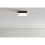 Boxie Outdoor Wall/Ceiling Light