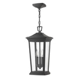 Bromley Medium Hanging Lantern - Museum Black - by Hinkley