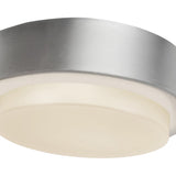 Brushed Nickel 5inch Bailey Exterior Ceiling by Kuzco Details