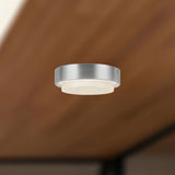 Brushed Nickel 5inch Bailey Exterior Ceiling by Kuzco