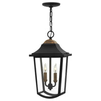 Burton Medium Hanging Lantern - Black - by Hinkley