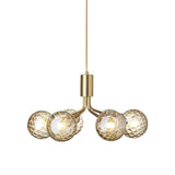 Bushed Brass/Optic Gold Apiales 6 Pendant Light by Nuura