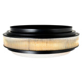 Valdivia 5 Light 22in Flush Mount