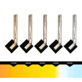 Contour Integrated LED Sand Black Indoor-Outdoor Wall Light with Handcrafted Glass