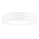 Arenal Flush Mount