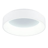 Arenal Flush Mount
