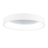 Arenal Flush Mount