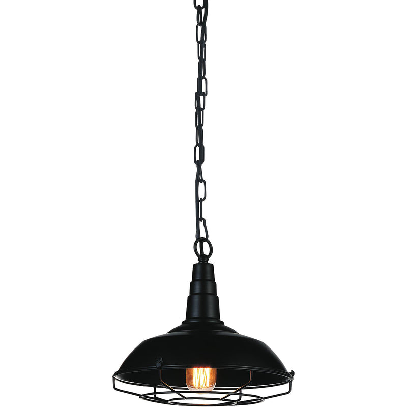 Morgan 1 Light Black Down Mini Pendant