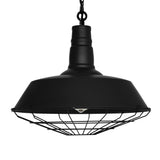 Morgan 1 Light Black Down Mini Pendant