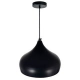 Dynamic Dome Pendant