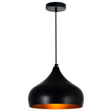 Dynamic Dome Pendant