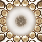 Caboche Plus Table Lamp by Foscarini - View 13