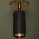 Caleb Flush Mount By Troy Lighting Front View1