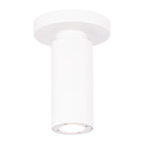 Caliber Outdoor Ceiling Mount White By WAC Lighting