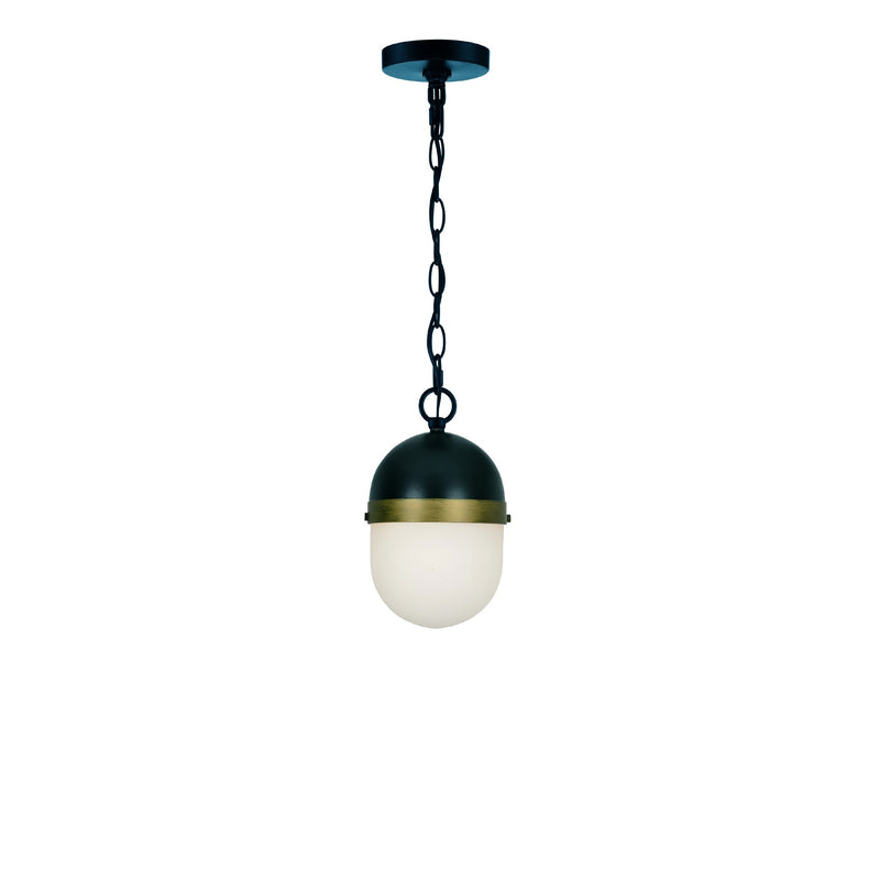 Capsule Outdoor Pendant 12.25" Matte Black + Textured Gold
