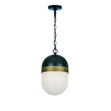 Capsule Outdoor Pendant 8" Matte Black + Textured Gold