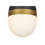 Capsule Outdoor Pendant 8" Matte Black + Textured Gold