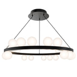 Carousel Chandelier 4CCT