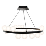 Carousel Chandelier 4CCT