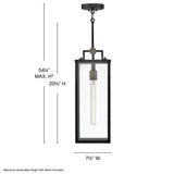 Catalina Medium Hanging Lantern