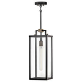 Catalina Medium Hanging Lantern