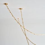 Catena Chandelier