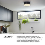 Cedric Flush Mount