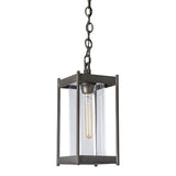 Cela Outdoor Pendant Small, shown in Coastal Dark Smoke, Clear Glass, by Hubbardton Forge