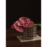Ceramic Basket lifestyle view 1