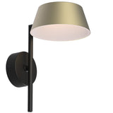 Champagne Gold Olo XL WU Wall Sconce by Seed Design
