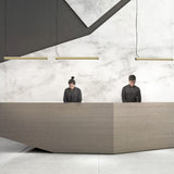 Champagne Gold Turner Linear Pendant by Seed Design in Reception Area