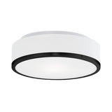Charlie Flush Mount — Flush Mount