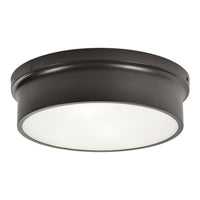 Ciotola Ceiling Light 12 Inch Bronze