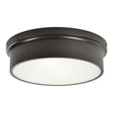 Ciotola Ceiling Light 12 Inch Bronze