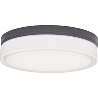 Cirque Outdoor Wall/Ceiling Light