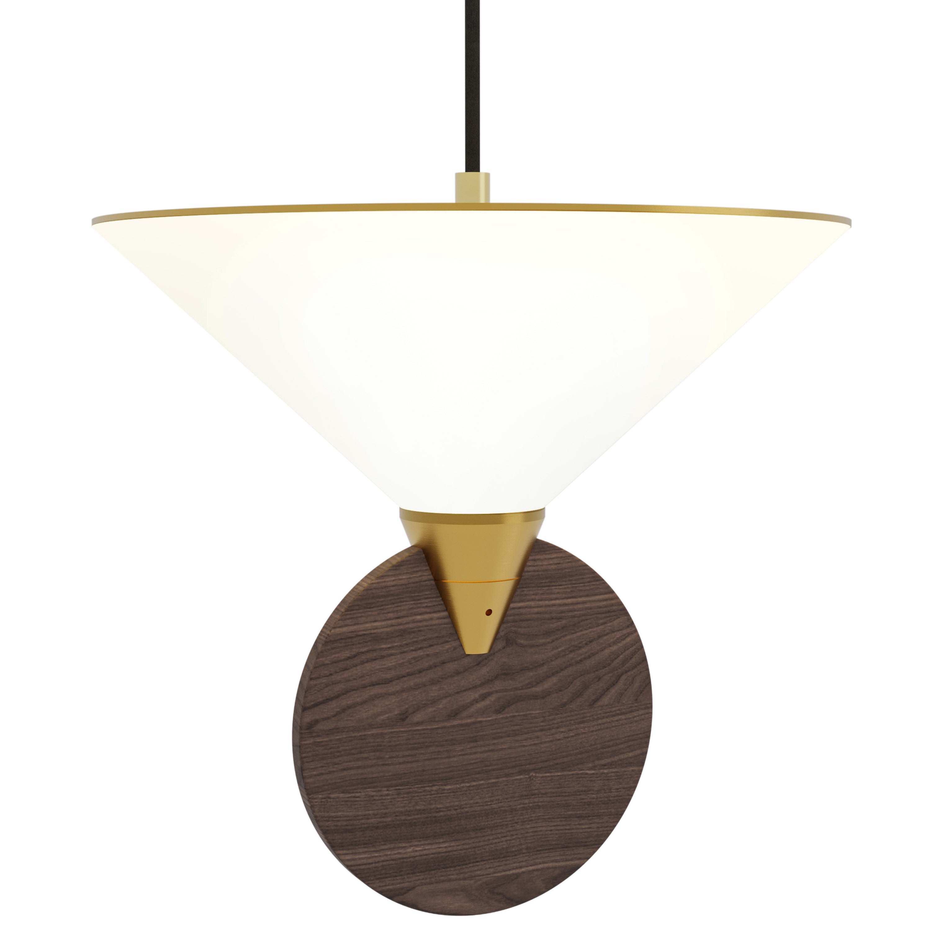Compass Pendant Light By CVL