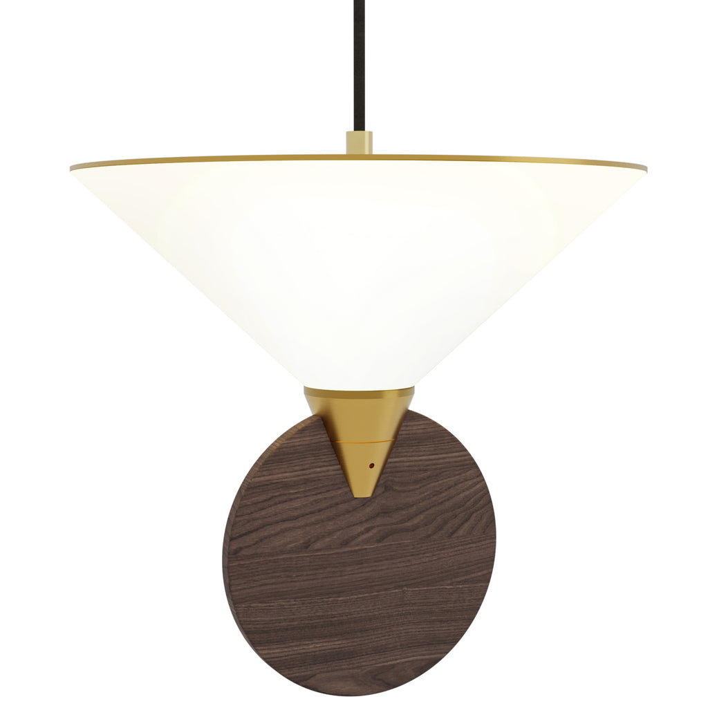 Compass Light Fixture Compass Pendant Light By CVL