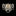 Concetta Wall Sconce