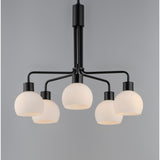 Coraline Chandelier Black by Maxim Lighting