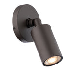 Cylinder Adjustable Outdoor Wall Light Small BZ By WAC Lighting